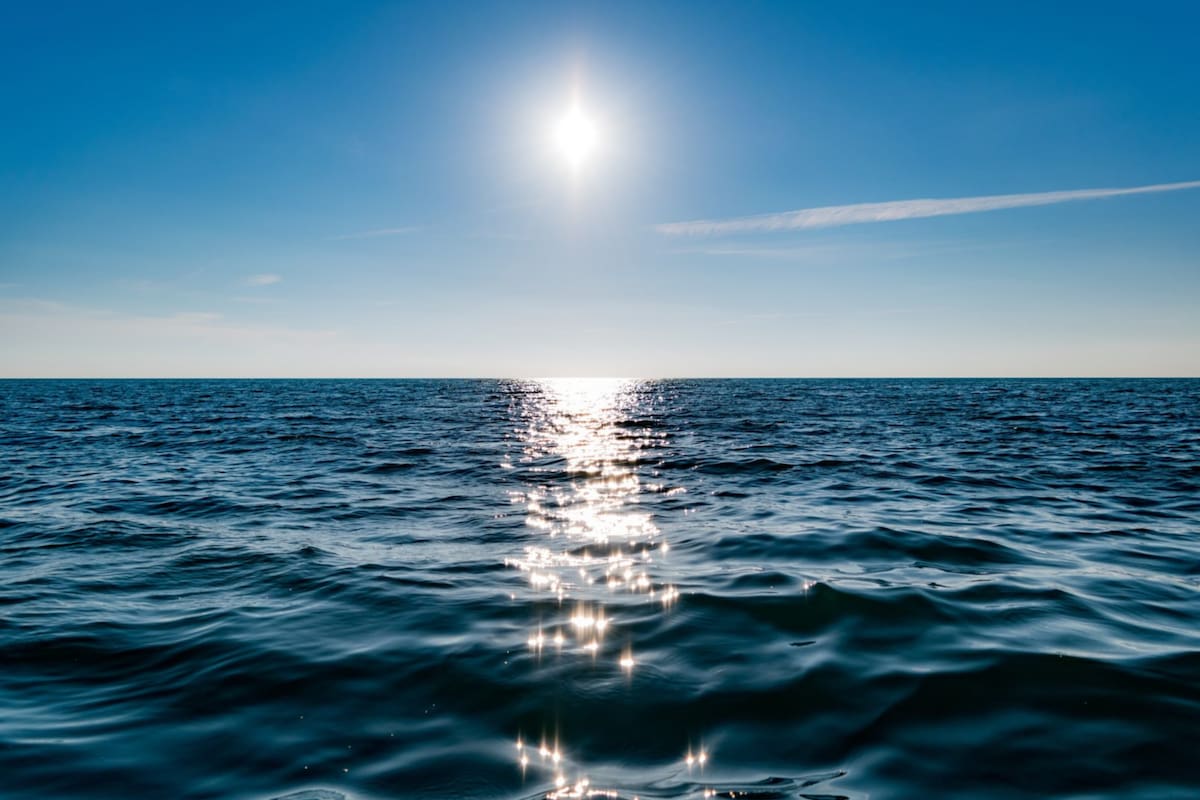 Se registraron las temperaturas oceánicas más altas desde 1955