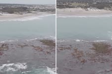 Se retiró el agua en Mar del Plata y emergió una llamativa “isla” frente al faro de Punta Mogotes: de qué se trata