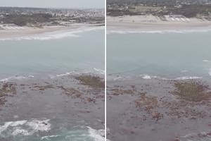 Se retiró el agua en Mar del Plata y emergió una llamativa “isla” frente al faro de Punta Mogotes: de qué se trata