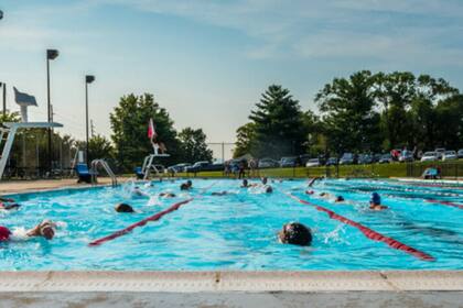 Se rompió un vidrio en la piscina y debieron invertir 20,000 dólares en Massachusetts para arreglarlo (Archivo)