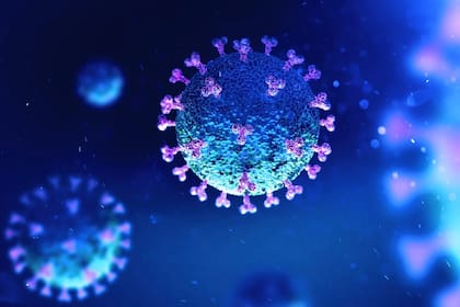 Se sabe que algunos virus compiten para poder ser el causante de una infección