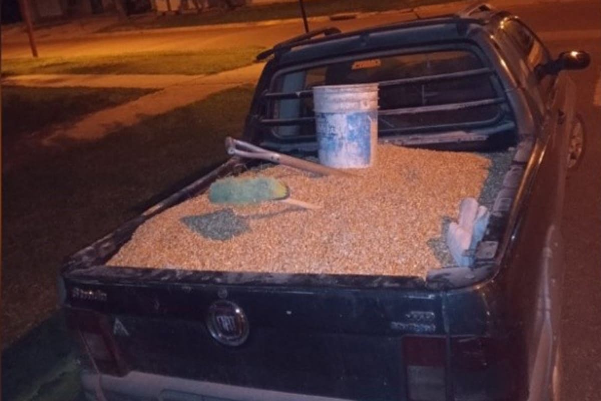 Se secuestró un arma, los kilos de cereal robado, una pala ancha que usaban, un cepillo de barrer y un balde de 20 litros