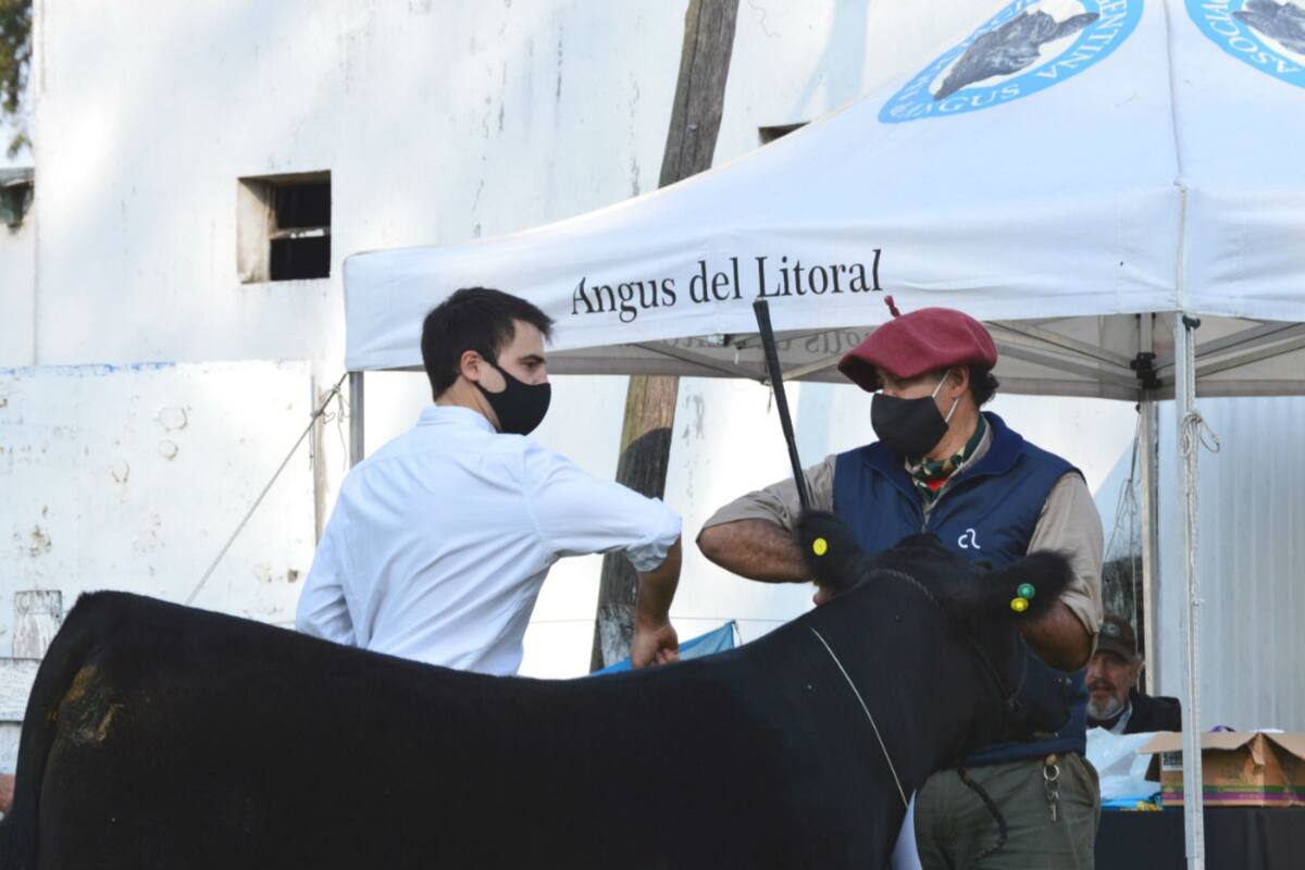 Se siguió un protocolo para la jura