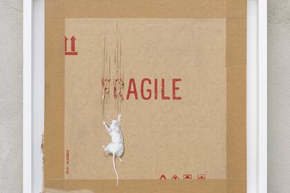 Se subastaban 50 serigrafías del artista británico, estimadas a 5000 libras esterlinas la unidad. La obra representa un ratón blanco con las pezuñas que rasgan un cartón con la inscripción "Frágil".