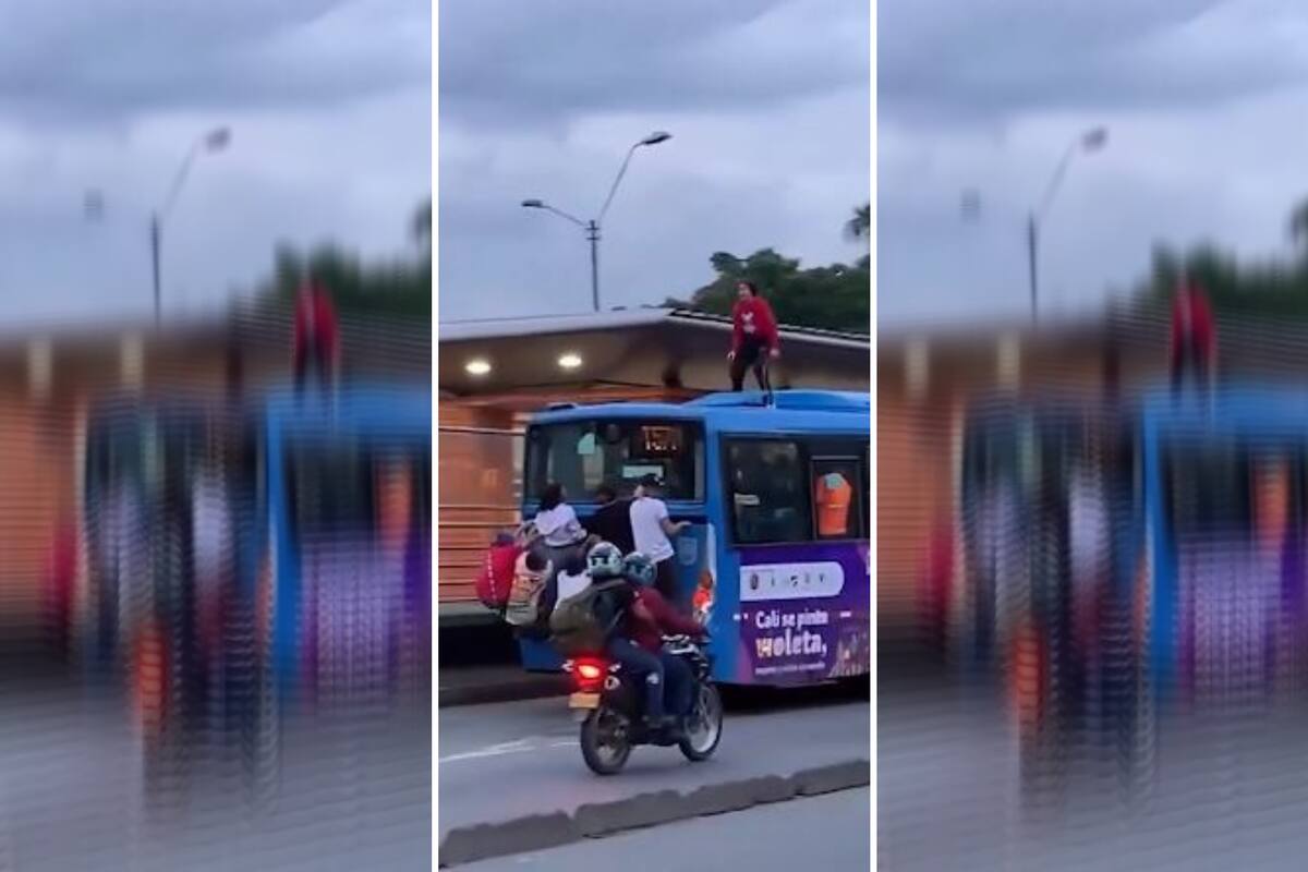Se subió al techo del colectivo y desató el caos