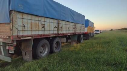 Se supo que el camionero no alcanzó a realizar una maniobra evasiva y chocó al hombre