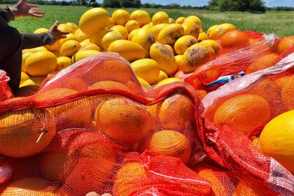 Se suprimieron “requisitos innecesarios en materia de envases de fruta que resultan una traba burocrática que complica y ralentiza el proceso de comercialización de las mismas, afectando la competitividad del sector"