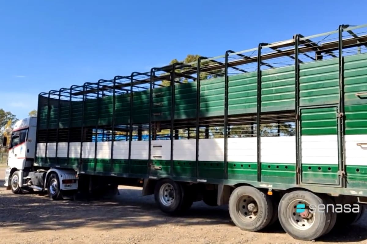 Se suspendió la implementación de la medida de verificación del registro de transportes de animales