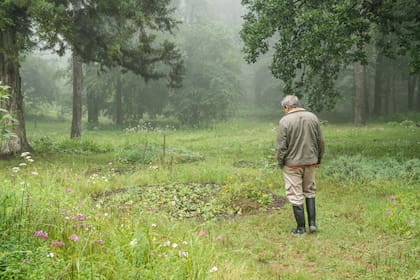 "Se trata de cultivar en armonía con los ciclos biológicos de las plantas y, también, en su relación con los insectos, la tierra, el agua, y el ambiente en general. Un jardín es un organismo vivo", explica Jorge.