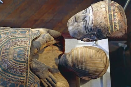 Se trata de la momia de un hombre de aproximadamente 1,65 metros de altura, que vivió durante el Período Ptolemaico (ca. 305-30 a. C.)