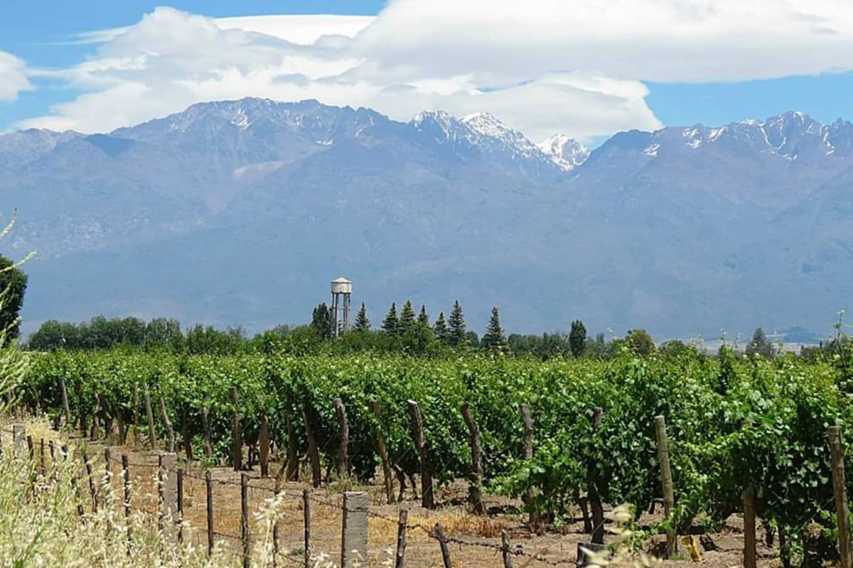 Se trata de Rolando Scanio, intendente de San Carlos; por la eliminación de estas 60 tasas municipales, el municipio perdería unos $600.000 de recaudación