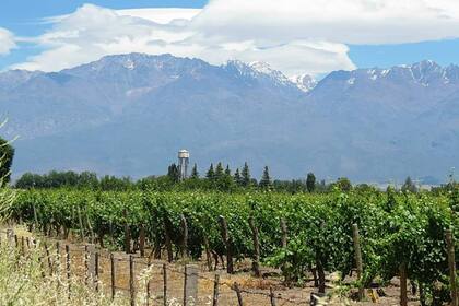 Se trata de Rolando Scanio, intendente de San Carlos; por la eliminación de estas 60 tasas municipales, el municipio perdería unos $600.000 de recaudación