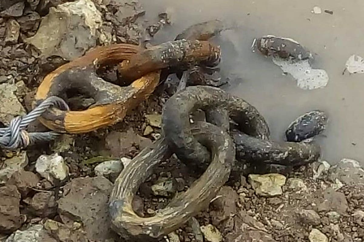 Se trata de siete eslabones enlazados que probablemente formaban parte de las cadenas que cortaron el río Paraná para impedir el paso de la flota anglofrancesa en 1845