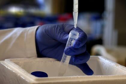 Se trata de una de las investigaciones más avanzadas a nivel mundial y el país obtendría ventajas a la hora de la producción y distribución de la vacuna