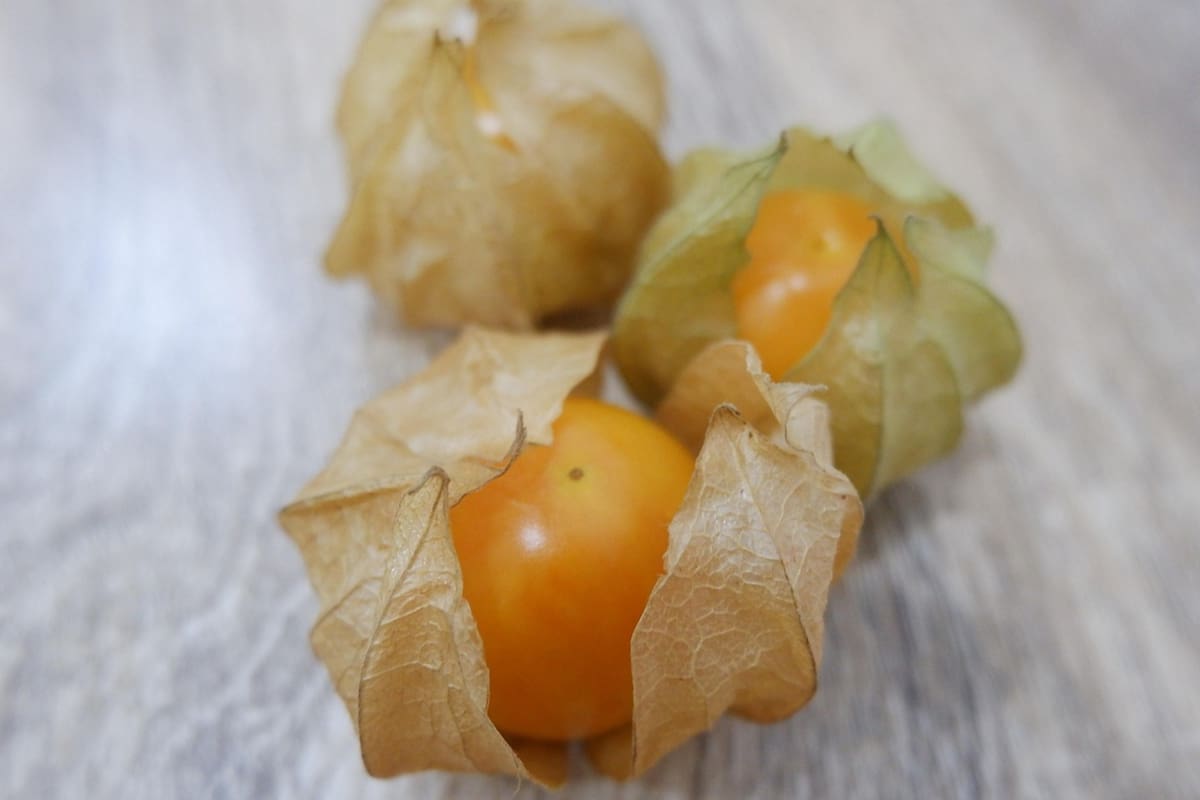 Se trata de una fruta originaria de Colombia (Foto ilustrativa: PEXELS)