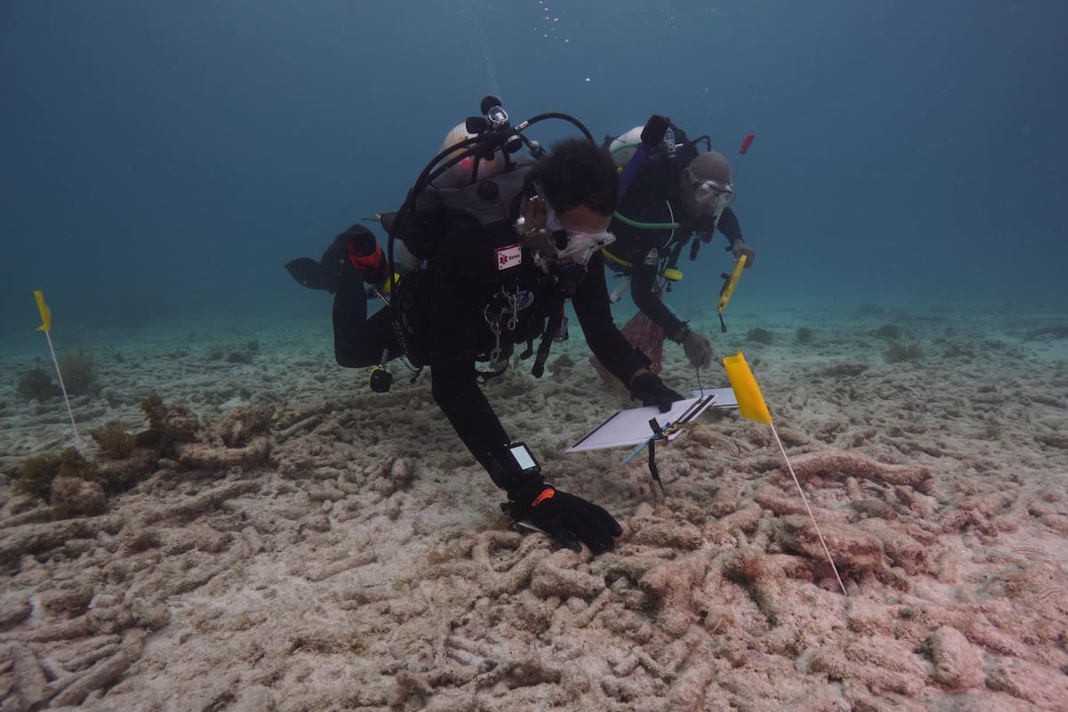 Se trata de una goleta que sufrió un accidente hace más de un siglo en los Cayos de Florida