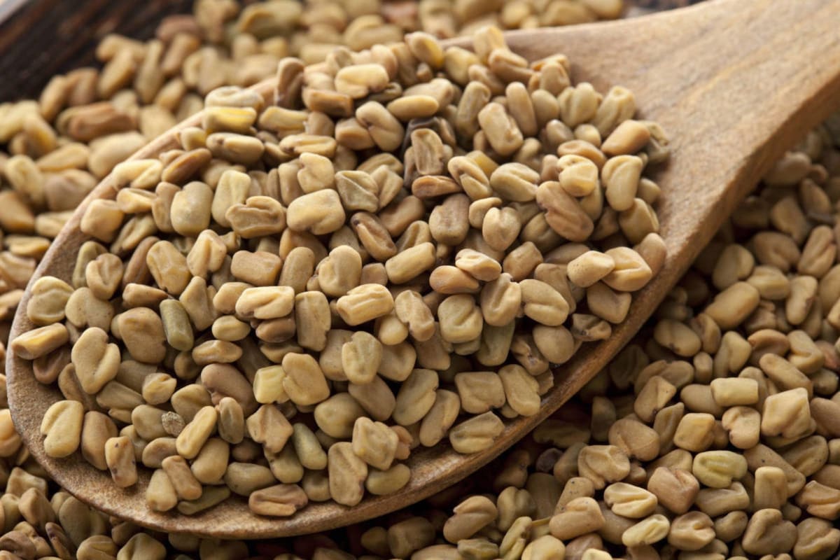 Se trata de una planta con grandes beneficios para la salud y que puede ser consumida a cualquier hora del día