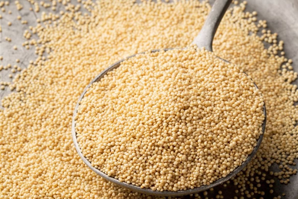 Se trata de una semilla que se usa como un cereal en los platos vegetarianos y como un rebozado para las recetas sin TACC