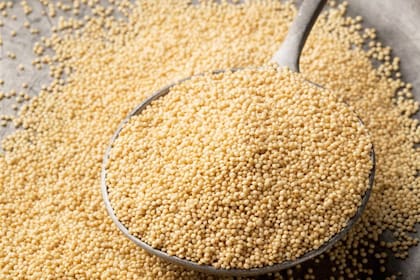 Se trata de una semilla que se usa como un cereal en los platos vegetarianos y como un rebozado para las recetas sin TACC