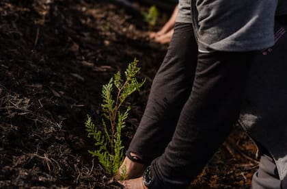 Se unió a ReforestAr, una ONG que tiene como objetivo la restauración ecológica de bosques nativos degradados