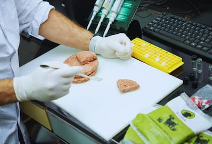 “Se utilizó carne de animales de 24-30 meses de edad, 460-500 kilos de peso vivo y un predominio de la raza mediterránea producida en la región del Delta, bajo pasturas naturales”, detalló Cunzolo
