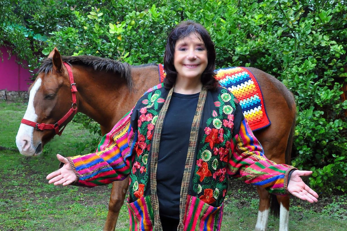 Se va el año de la Serpiente y llega el del Caballo: Ludovica te anticipa todo lo que necesitás tener en cuenta para encarar lo que se viene, según tu signo en el horóscopo chino.