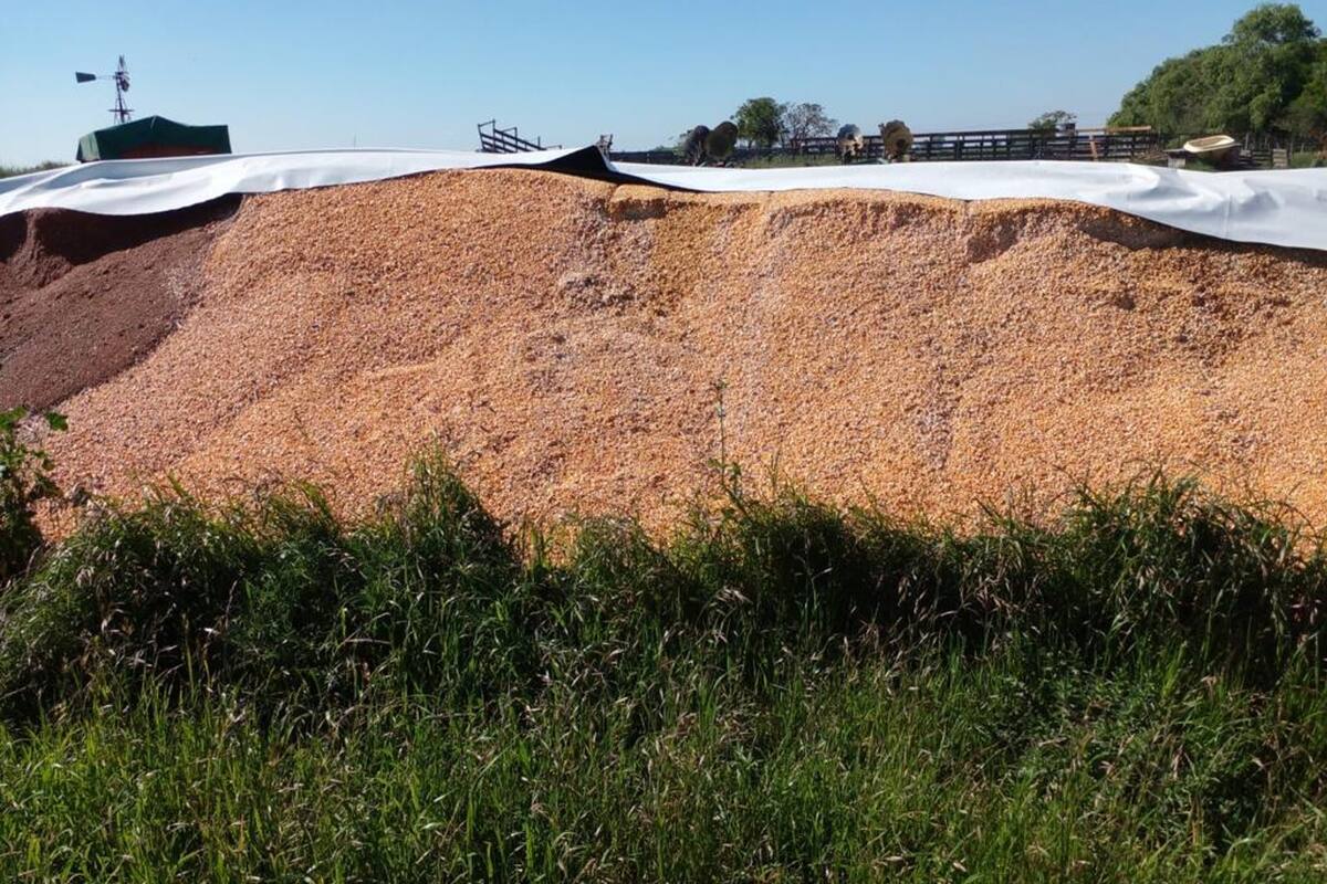 Se vandalizaron silobolsas a unos 15 kilómetros de Navarro