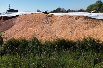 Se vandalizaron silobolsas a unos 15 kilómetros de Navarro