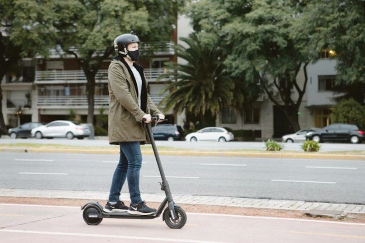Se ven cada vez más en las calles porteñas
