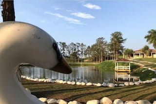 Se vende el campo de 700 hectáreas de Pelé: fue un santuario animal y ahora vale millones de dólares