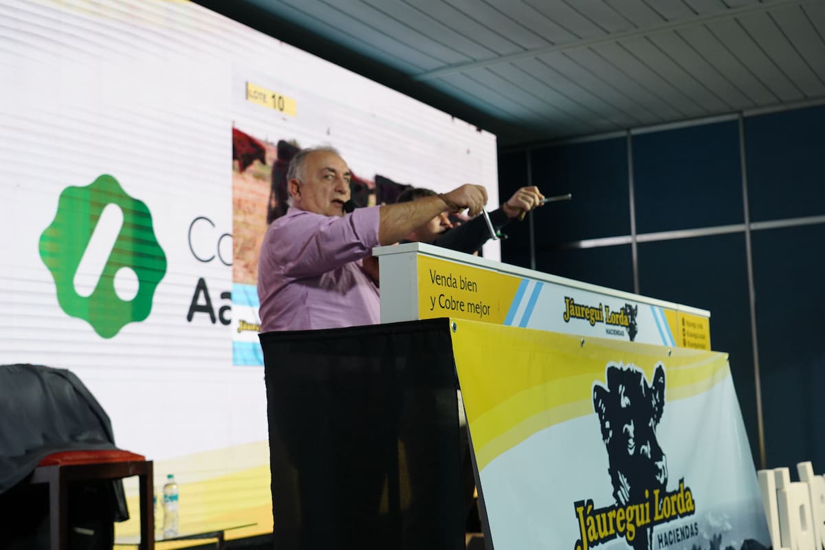 Se viene un espacio para la ganadería en el congreso de Aapresid