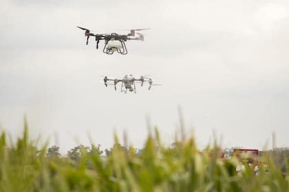 Se viene una jornada única en Exoagro