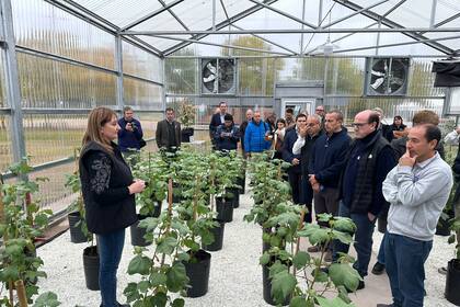 Se vienen nuevas tecnologías en el cultivo