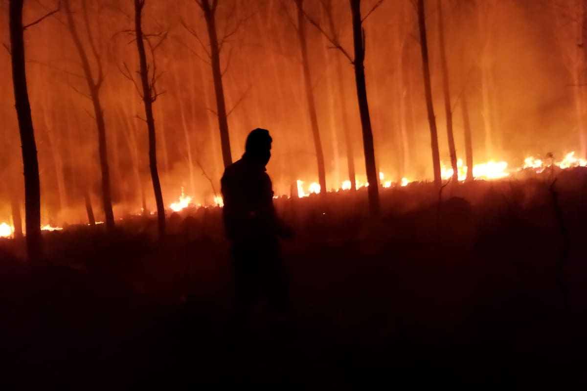 Se vienen registrando fuertes pérdidas por los incendios forestales