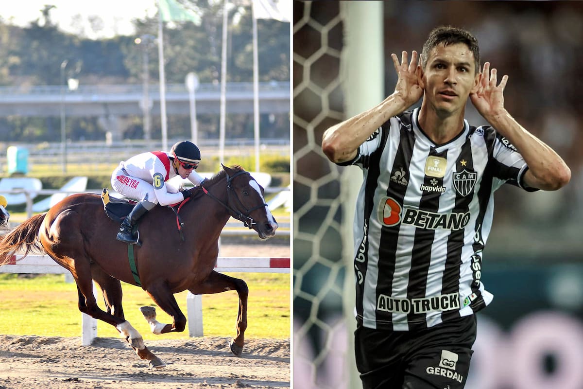 Sea Wolf, el potrillo de Ignacio Fernández, la estrella del Atlético Mineiro, de Brasil