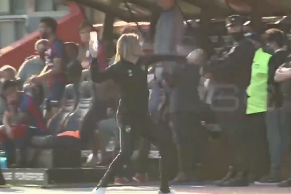 Sebastián Beccacece arrojó una botella de agua a la platea, discutió con la policía y se le labró una contravención por incitación a la violencia