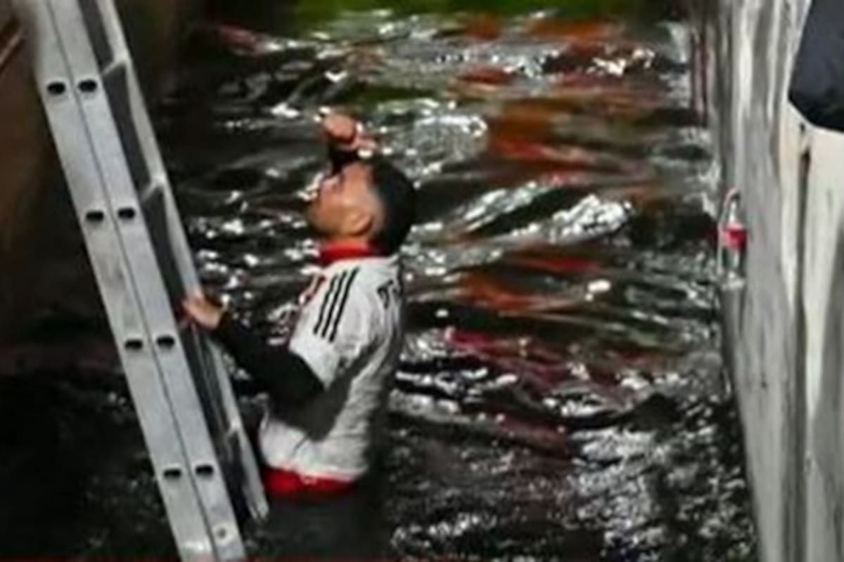 Sebastian Buccolieri, el hincha de Estudiantes arrojado a la fosa