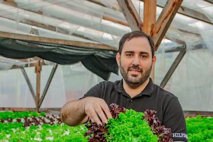 Sebely produce lechuga, rúcula y hortalizas con el proceso de hidroponía y su marca "De la Finca" ganó premios. Pero también hace unos años se hizo muy conocido con su "Comida por un Dólar". También produce barritas energéticas de cereales