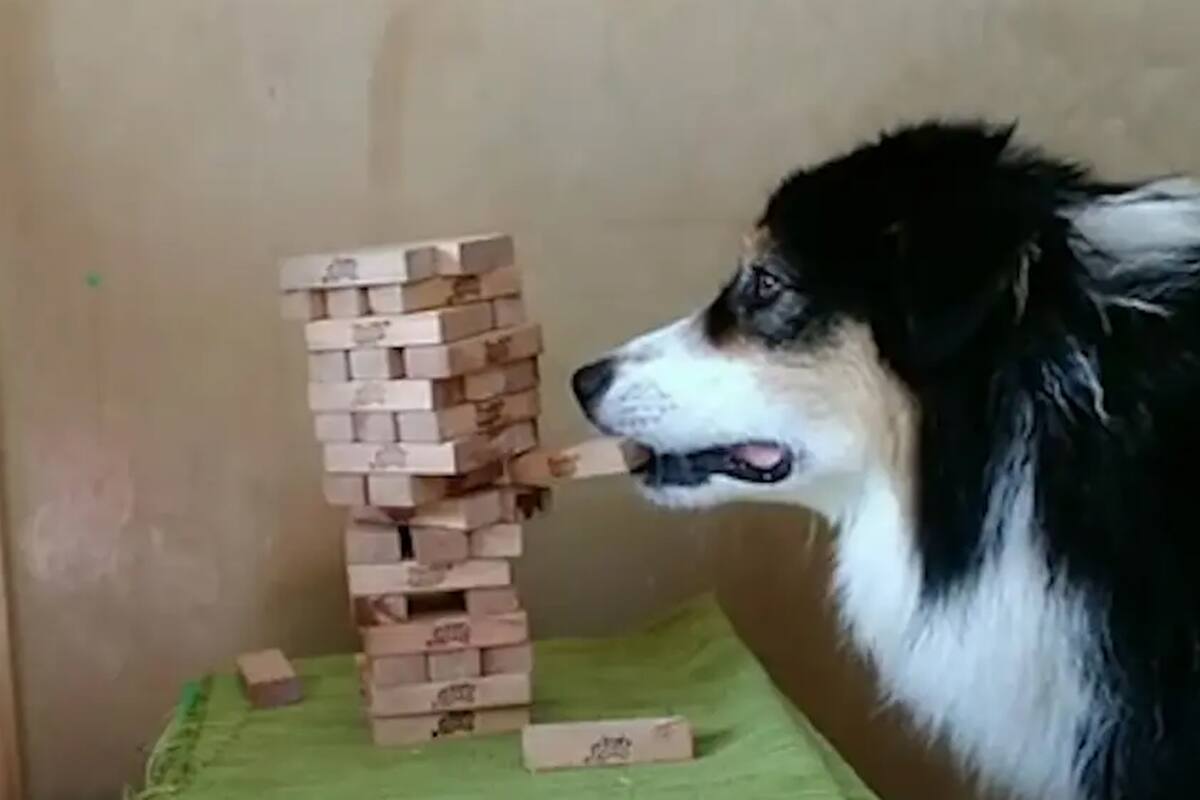 Secret comparte muchas actividades junto a su amiga