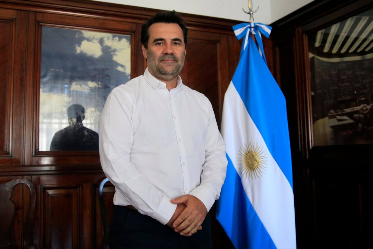 Secretario de Energía Darío Martínez