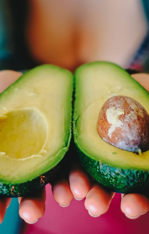 Secretos de la palta