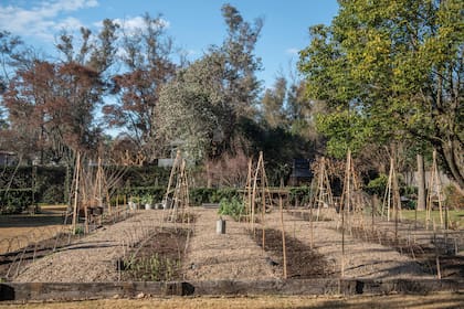 Sector del jardín donde se dispondrán las flores de primavera. Los tutores de mimbre sostendrán alverjillas de olor