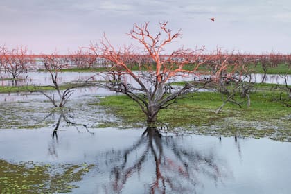 Sector Vertedero, a pocos kilómetros de Las Lomitas.