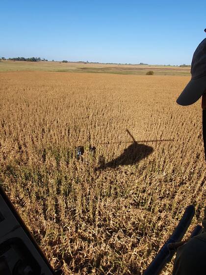 Secuestran 175 kilos de cocaína cerca de la frontera entre Santa Fe y Buenos Aires
