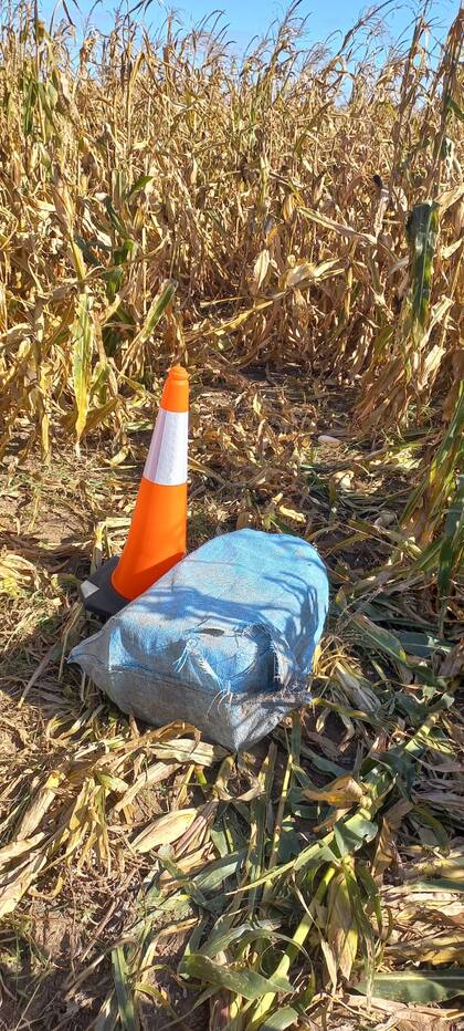 Secuestran 175 kilos de cocaína cerca de la frontera entre Santa Fe y Buenos Aires
