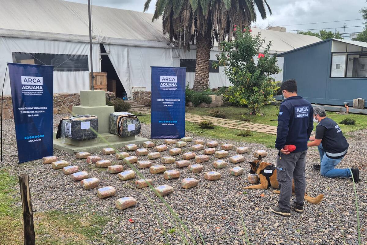 Secuestraron 55 kilos de marihuana en Salta
