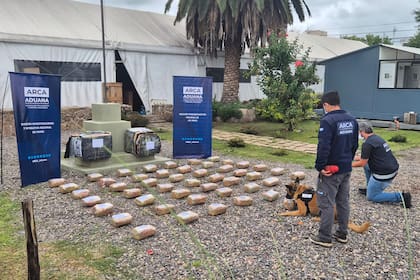 Secuestraron 55 kilos de marihuana en Salta