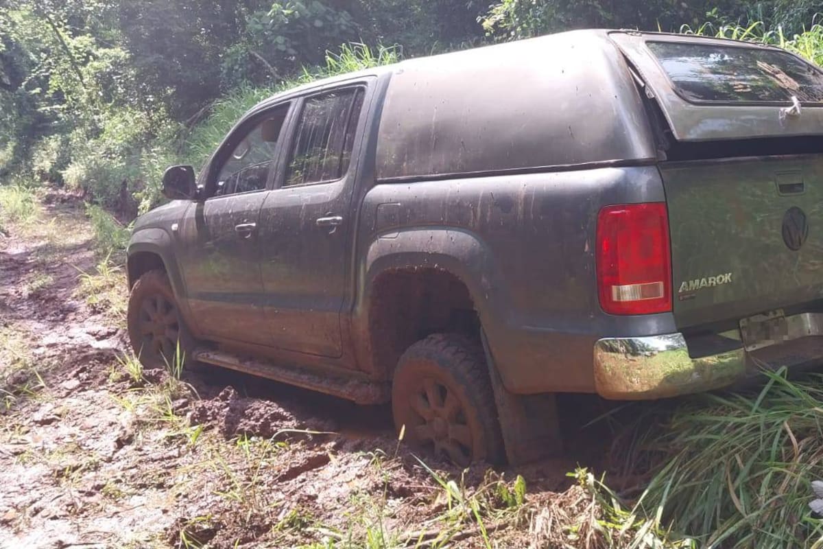 Secuestraron más de cinco toneladas de marihuana en Misiones