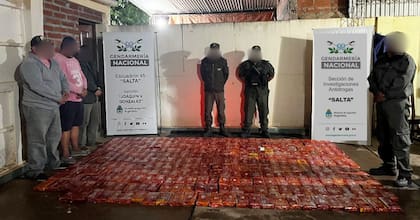 Secuestro de 347 kilos de cocaína en Salta, con cuatro detenidos, vehículos secuestrados y dinero incautado