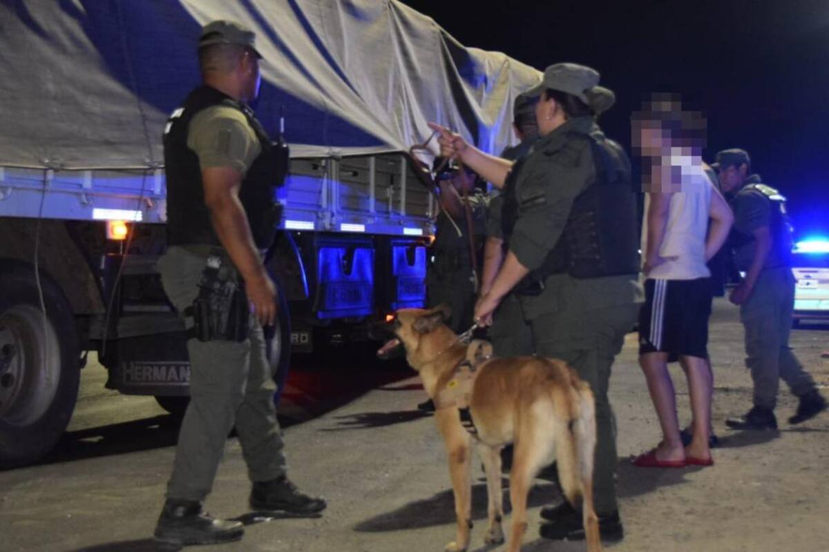 Secuestro de 426,9 kilos de cocaína ocultos bajo un cargamento de porotos, en Rosario